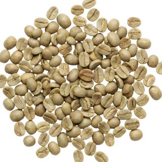 Ekstrakt z zielonych ziaren kawy